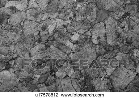 Black And White, Wood, Cracks View Large Photo Image Stock Image - Black And White, Wood, Cracks. Fotosearch