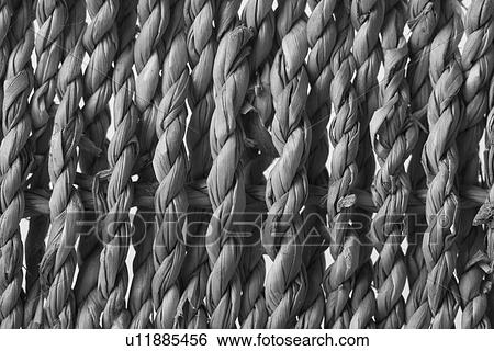 Brown, Arrangement, Braided, Black And White, Artistic, Appearance View Large Photo Image Stock Photograph - Brown, Arrangement, Braided, Black And White, Artistic, Appearance. Fotosearch