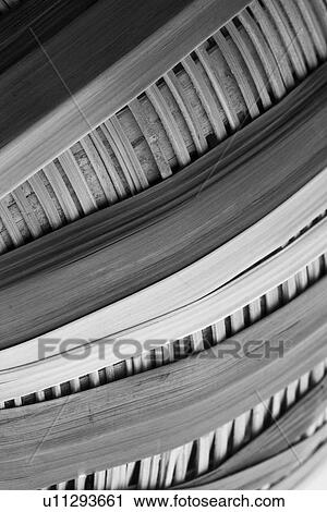 brushes, brush, strands, hairs, bristles, buckets View Large Photo Image Stock Image - brushes, brush, strands, hairs, bristles, buckets. Fotosearch