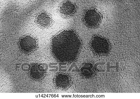 Picture - Design, Art, Black And White, Circular, Circles, Appearance. Fotosearch