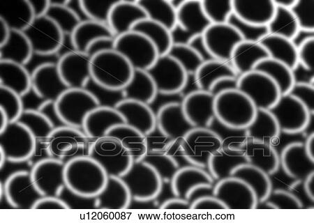 Stock Photo - idea, appearance, conceptual, concept, arrangement, abstract. Fotosearch