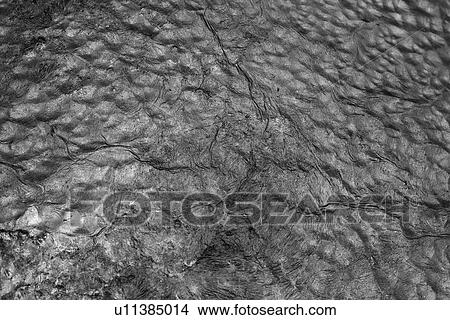 Picture - nature, ripples, outdoor, marks, close-up, uneven. Fotosearch