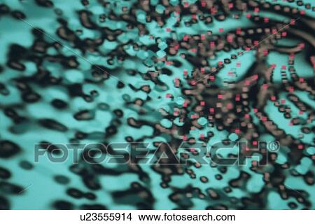 Stock Illustration - Close-Up, Dotted, Digitally Generated Image, Design, Abstract. Fotosearch