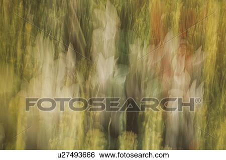 Stock Illustration - Painting, Background. Fotosearch