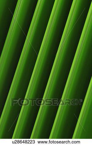 Boards, Planks, Folders, Panels, Painted, bright View Large Photo Image Stock Image - Boards, Planks, Folders, Panels, Painted, bright. Fotosearch