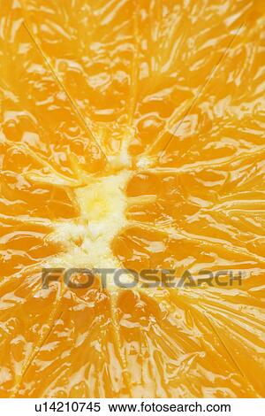 Citrus Fruit, Extreme Close-Up, Fruit, Full Frame, Indoors View Large Photo Image Stock Photography - Citrus Fruit, Extreme Close-Up, Fruit, Full Frame, Indoors. Fotosearch