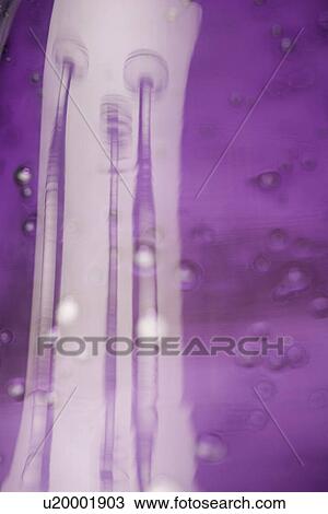 Stock Image - Droplet, Extreme Close-Up, Fragile, Full Frame, Glass. Fotosearch