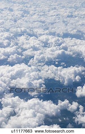Stock Image - bright. Fotosearch
