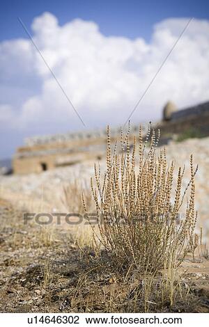 Stock Image - Building Exterior, Clouds, Day, Field, Grass. Fotosearch