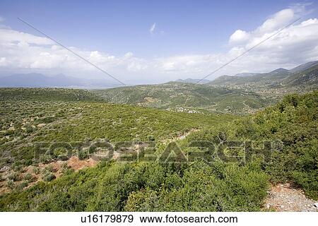 Stock Photo - Cloud, Generic Location, Grass, Green. Fotosearch