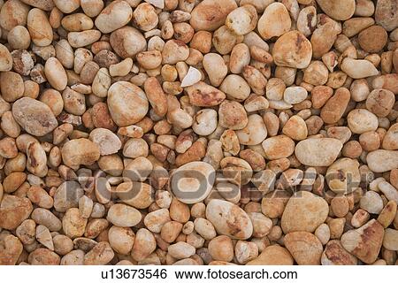 beige, brown View Large Photo Image Stock Photograph - beige, brown. Fotosearch
