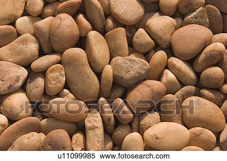 Stock Photography - beige, brown. Fotosearch