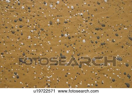 Brown, Day, Earth, Floor, Granular View Large Photo Image Stock Image - Brown, Day, Earth, Floor, Granular. Fotosearch