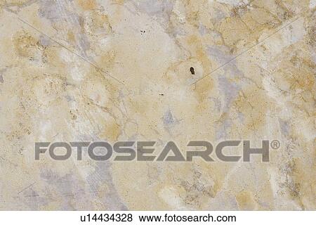 Stock Photo - Close-Up, Design, Decor, Appearance. Fotosearch