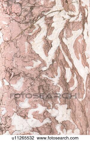 Stock Image - detail, geology, metamorphic, rock, mottled, rough. Fotosearch