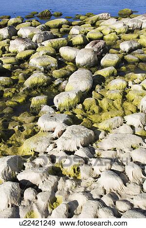 Stock Photo - Seashore, Seaside, Rocks. Fotosearch