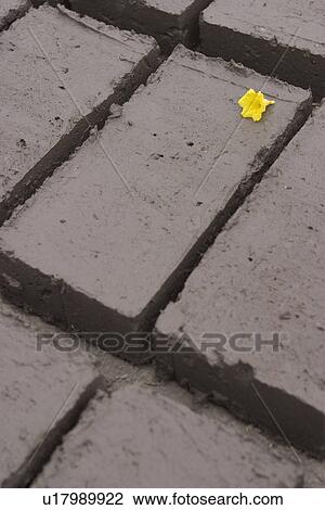 Stock Image - appearance. Fotosearch