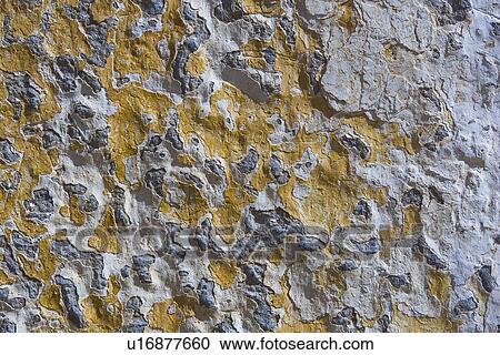 Cement, Close-Up, Outdoors, Pattern, Rocks View Large Photo Image Stock Image - Cement, Close-Up, Outdoors, Pattern, Rocks. Fotosearch
