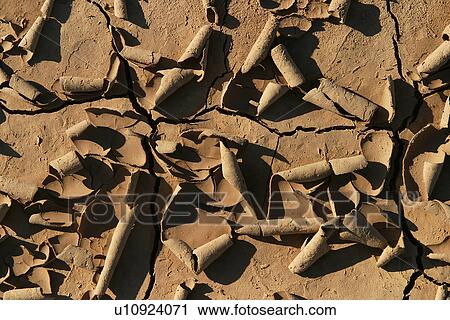 surface, broken, uneven, close-up, rough, peel View Large Photo Image Stock Image - surface, broken, uneven, close-up, rough, peel. Fotosearch