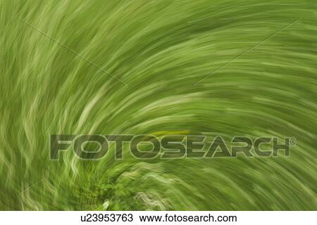 Background, Close-Up, Pattern View Large Illustration Drawing - Background, Close-Up, Pattern. Fotosearch