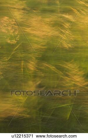 Blurred, Green, Yellow, Appearance, Close-Up View Large Illustration Clip Art - Blurred, Green, Yellow, Appearance, Close-Up. Fotosearch