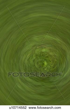 Drawing - Circle, Circular, Close-Up, Design, Full Frame. Fotosearch