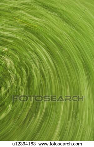 Drawing - Creative, Graphic, Appearance, Design, Close-Up, Background. Fotosearch