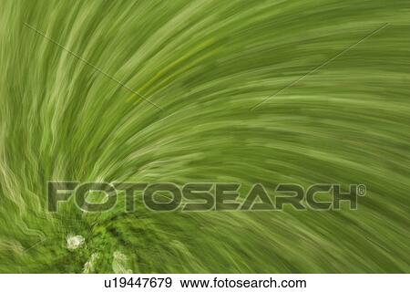 Creative, Graphic, Appearance, Design, Close-Up View Large Illustration Stock Illustration - Creative, Graphic, Appearance, Design, Close-Up. Fotosearch