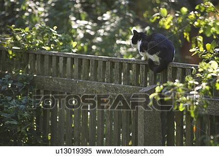 Stock Photography - Barricade, Fence, Wood. Fotosearch