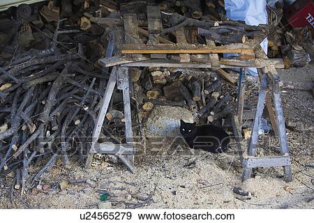 Stock Photo - Cat, Firewood, Feline, Day, Animal. Fotosearch