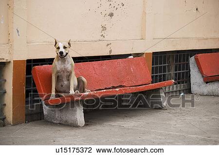 Day, Outdoors View Large Photo Image Stock Image - Day, Outdoors. Fotosearch