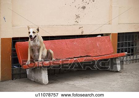 Stock Photo - Day, Outdoors. Fotosearch