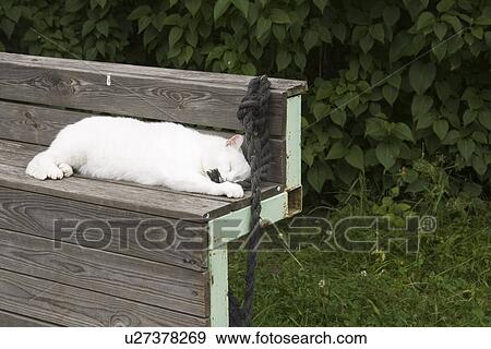 Outdoors, Day View Large Photo Image Stock Photo - Outdoors, Day. Fotosearch