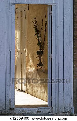 Stock Image - building, wooden, wood, wooden panel, wooden door, wooden doorway. Fotosearch