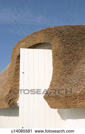 detail, palm, roof, ivy, protection, post View Large Photo Image Stock Image - detail, palm, roof, ivy, protection, post. Fotosearch