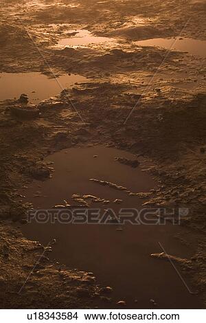 Picture - Brown, Close-Up, Day, Dirt, Full Frame. Fotosearch