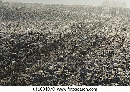 Stock Image - Cultivated, Day, Desert, Dirt, Field. Fotosearch