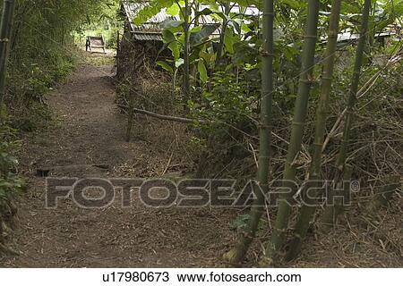 Stock Image - plants. Fotosearch