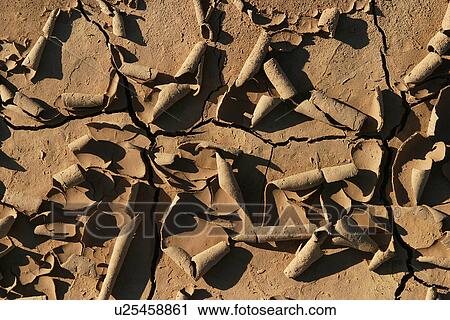 surface, broken, uneven, close-up, rough, peel View Large Photo Image Stock Image - surface, broken, uneven, close-up, rough, peel. Fotosearch