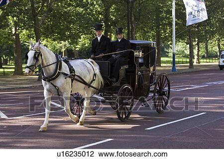 Hat, Conveyance, Chariot, Carriage, Animal View Large Photo Image Stock Image - Hat, Conveyance, Chariot, Carriage, Animal. Fotosearch