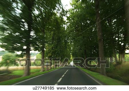outdoors, natural, foliage, flora, greenery, expanse View Large Photo Image Stock Photography - outdoors, natural, foliage, flora, greenery, expanse. Fotosearch