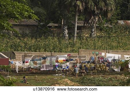 Stock Photograph - brick wall, child, clothes, coconut tree, grass. Fotosearch