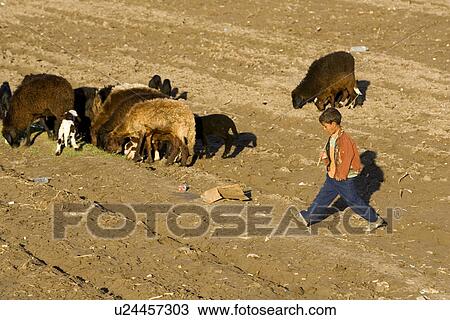 Casual Clothing, Elementary Age, Brown Hair, Asian Ethnicity, Arid, 8-9 Years View Large Photo Image Stock Image - Casual Clothing, Elementary Age, Brown Hair, Asian Ethnicity, Arid, 8-9 Years. Fotosearch