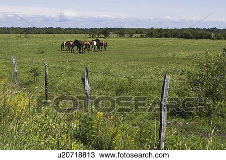 Stock Image - Day, Outdoors. Fotosearch