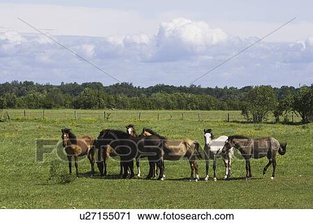 Day, Outdoors View Large Photo Image Stock Image - Day, Outdoors. Fotosearch