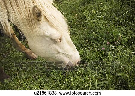 Day, Outdoors View Large Photo Image Stock Photo - Day, Outdoors. Fotosearch