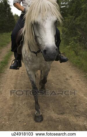 Stock Image - Dirt Road, Horse, Green, Animal Head. Fotosearch