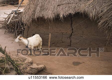 Stock Photograph - outdoors, rural. Fotosearch