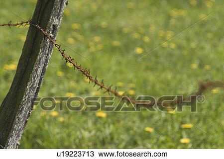 Stock Image - barbed wire, barricade, barrier. Fotosearch