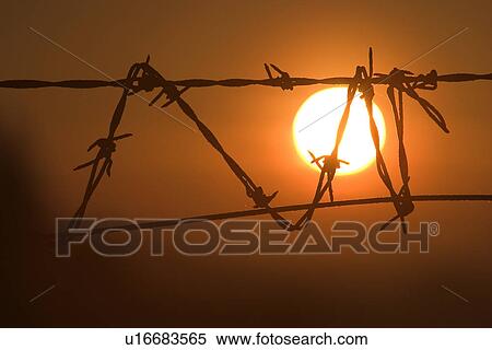 Stock Photography - Barbed Wire, Close-Up, Dusk, Fence, Focus On Background. Fotosearch